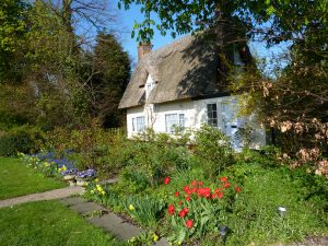 Cottage garden in Spring
