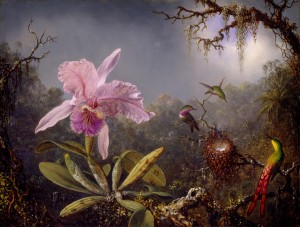 Cattleya orchid and 3 Hummingbirds.  1871 oil on panel.  MJ Heade c National Gallery of Art, Washington DC