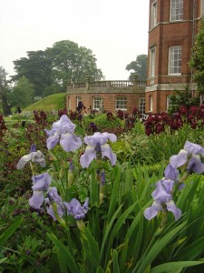 Iris Jane Phillips at Brocket Hall Iris Jane Phillips at Brocket Hall