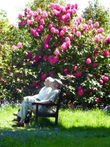 Exbury gardens