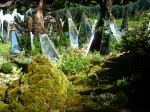 garden by Decembrini and Zanzi at Chelsea