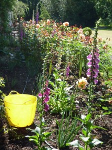 Just Joey bed flower bed for Just Joey