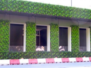 green wall green wall