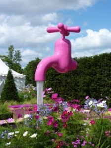 Astellas Pharma garden at Hampton Court Flower Show