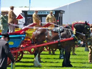 horse and cart put the horse before the cart