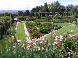 looking down on the Great Plat