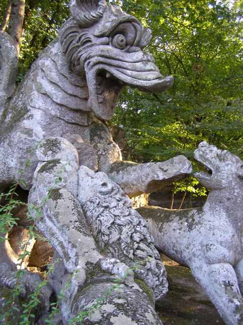 fighting dragon