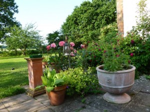 my pots