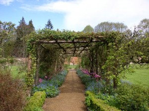 trellis