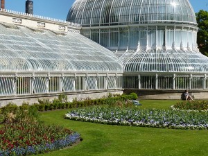 Belfast Palm House