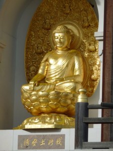 BP buddha