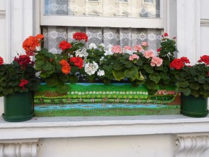 full window box