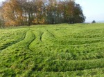 All labyrinth Labyrinth, the mismaze