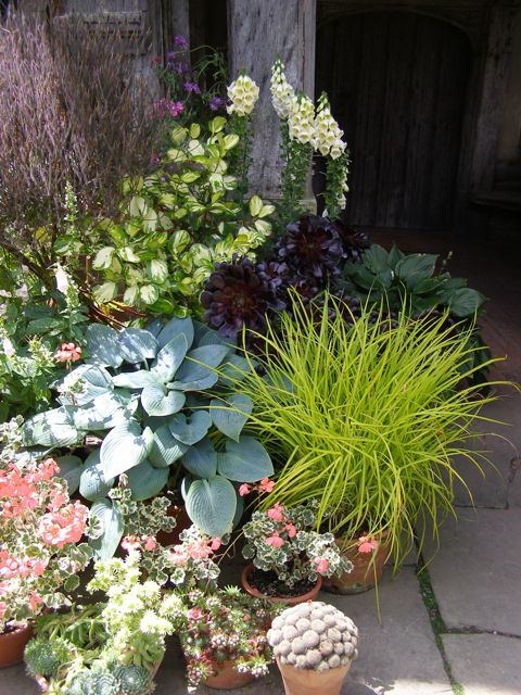 flower arrange