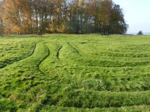 maze