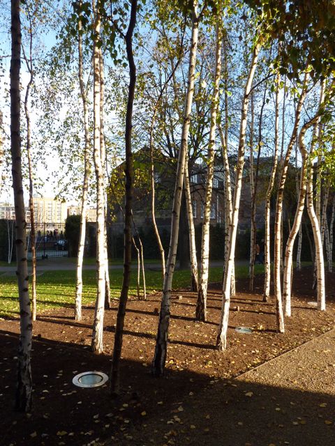 trees at tate modern