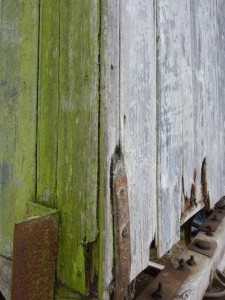 shep detail