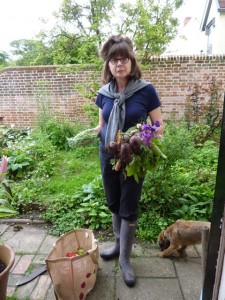 allotment newbie