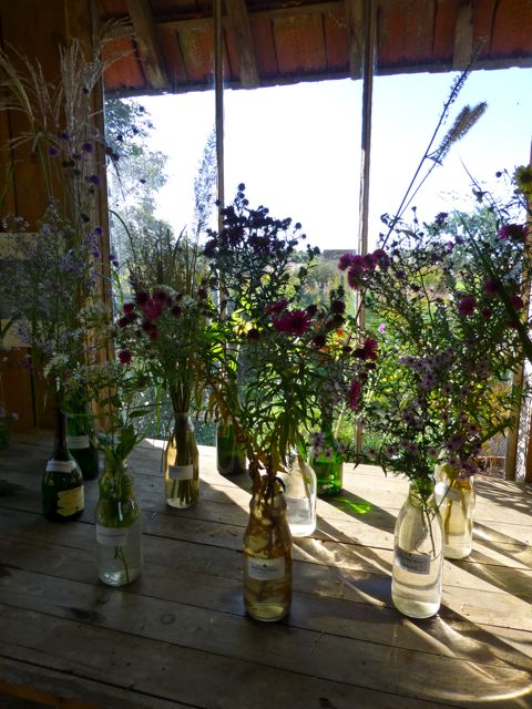JP bottles