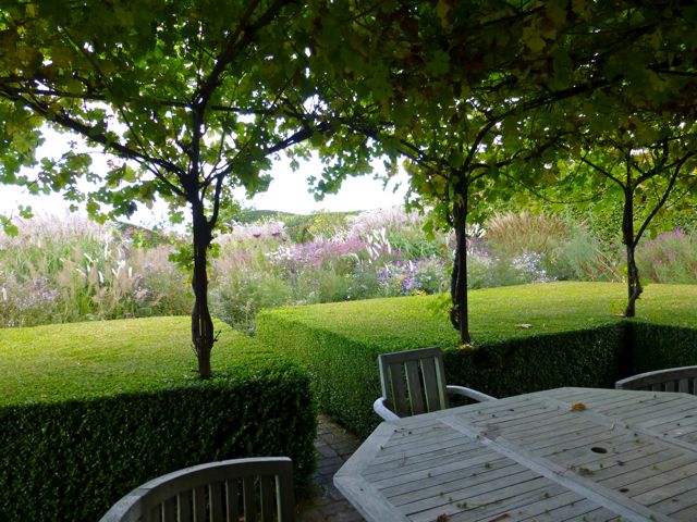 hedge more