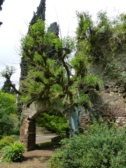 Italy1