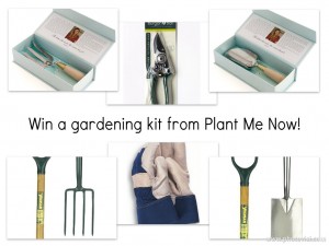 kit