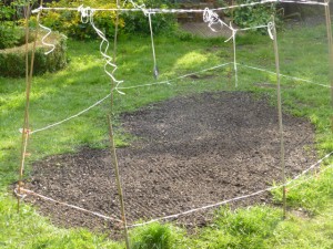 sowing3