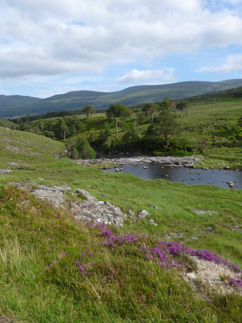 glen1