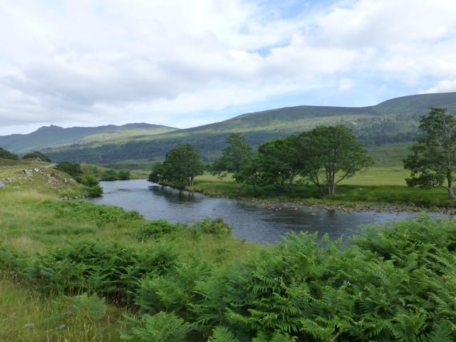 glen6