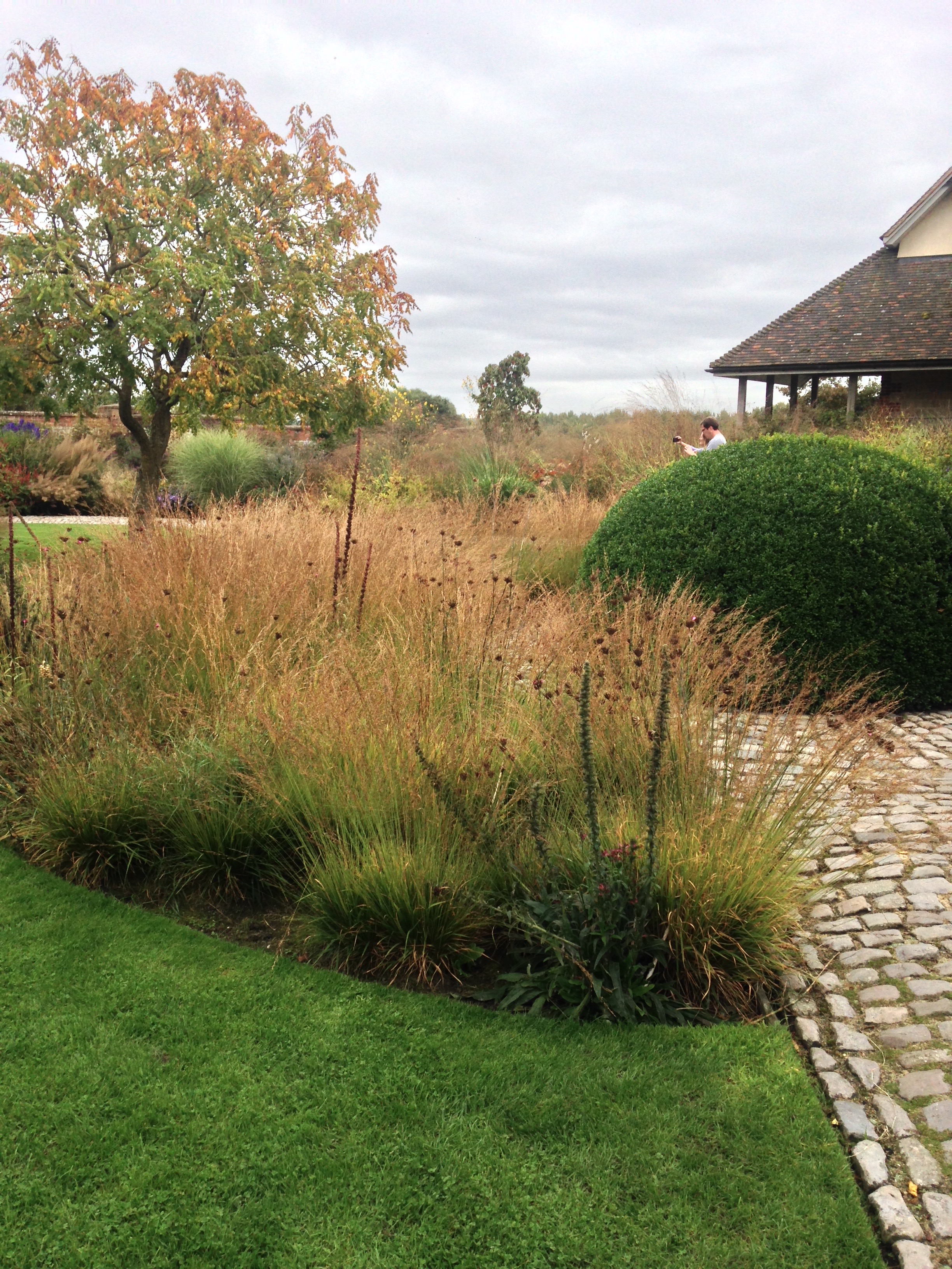 A Visit To Bury Court To See Planting By Oudolf And Bradley Hole