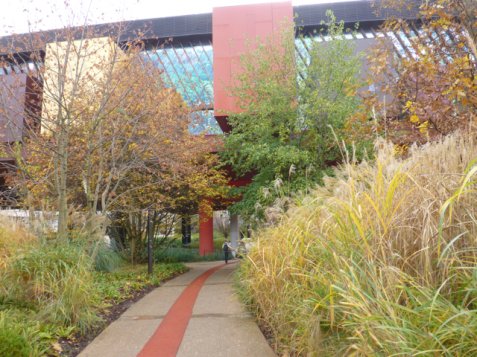 The gardens at Quai Branly, Paris by Gilles Clement