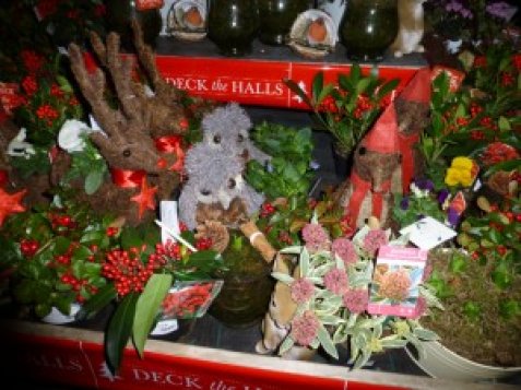 Garden centres deck the halls