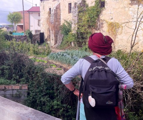 A few vegetable images from the #Camino de Santiago