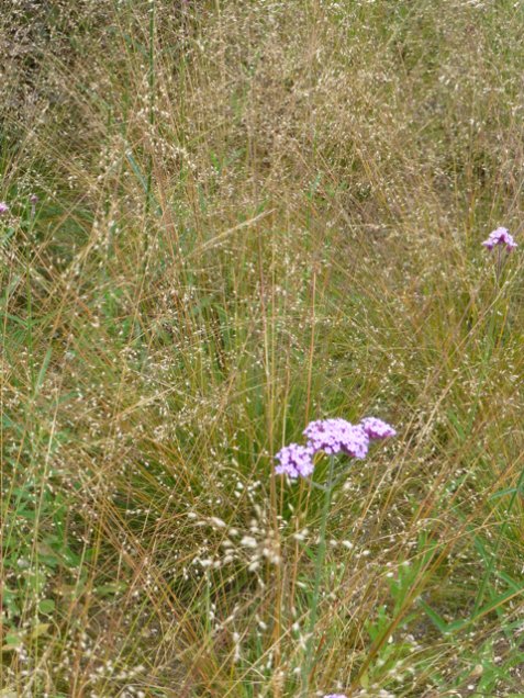 In the glistering light of September