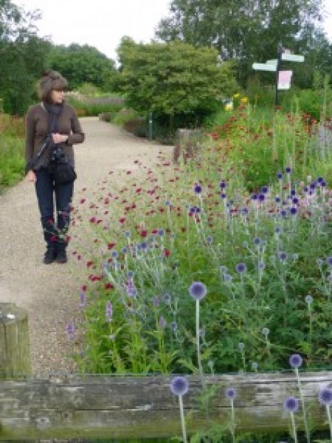 So what is this garden coaching malarkey?