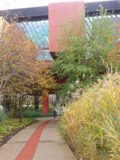 The gardens at Quai Branly, Paris by Gilles Clement