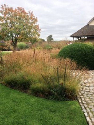 A visit to Bury Court to see planting by Oudolf and Bradley Hole