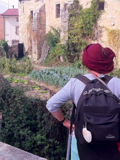 A few vegetable images from the #Camino de Santiago