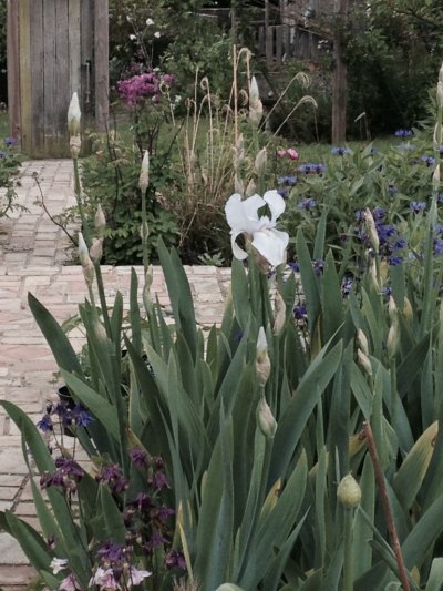 My 10 top tips for a successful PLANTING PLAN